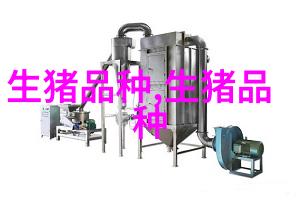 苏白猪