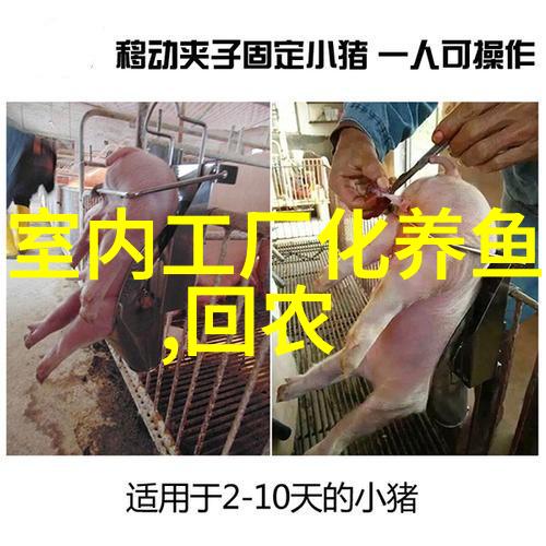 以鱼养鱼的生态养殖技术